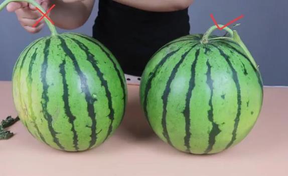 如何挑選西瓜 如何挑選西瓜