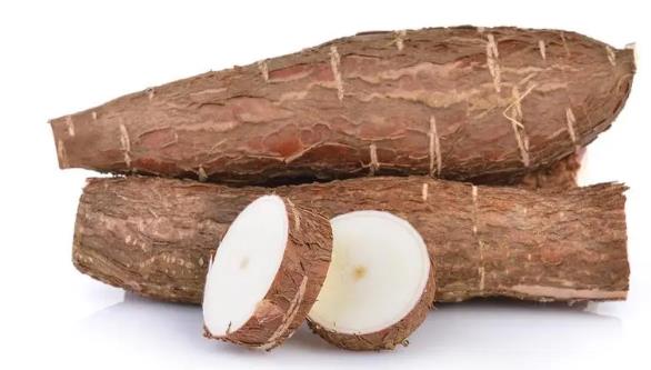 木薯怎么種的啊 木薯怎么種的啊