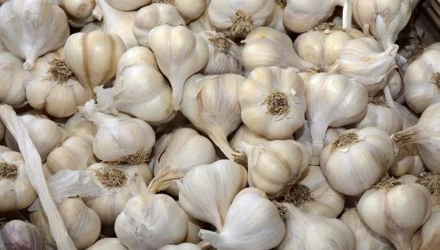 大蒜應該怎么用水種 大蒜應該怎么用水種