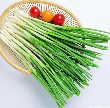 蒜型小蔥怎么種 蒜型小蔥怎么種