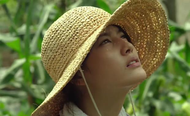 《小森林》寫一篇讀后感 《小森林》寫一篇讀后感