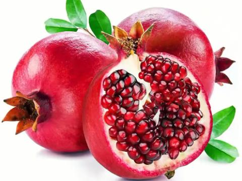 石榴種子怎么種步驟 石榴種子怎么種步驟