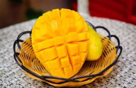 網紅芒果怎么種 網紅芒果怎么種