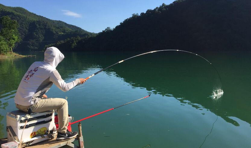 釣魚有什么技巧 釣魚有什么技巧