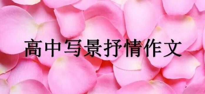 借景抒情的文章 借景抒情的文章