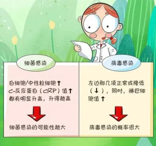 感冒如何判斷是病毒還是細菌 感冒如何判斷是病毒還是細菌