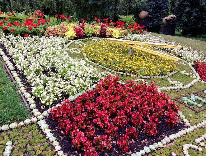 什么樣的花適合種植在花壇里? 什么樣的花適合種植在花壇里?