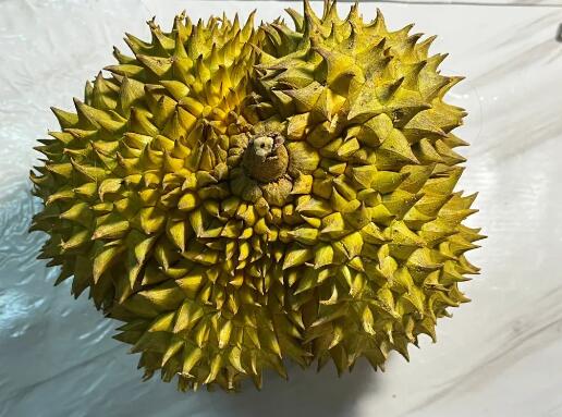 榴蓮的功效和營養價值 榴蓮的功效和營養價值