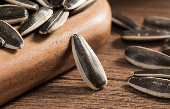 時光回味:懷舊零食引發的童年記憶