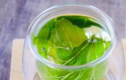 喝桑葉茶有什么好處 喝桑葉茶有什么好處