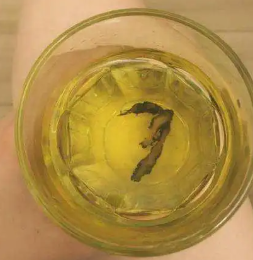 黃連泡水喝有什么好處 黃連泡水喝有什么好處